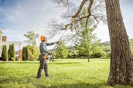 Best Hedge Trimming  in Baldn, WI